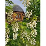 Valentina Castle 4* Ognyanovo (Blagoevgrad)