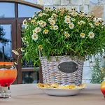 Bed & Breakfast Valentina Castle Ognyanovo (Blagoevgrad)