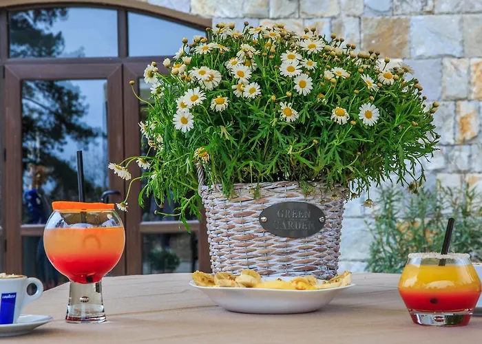 Bed & Breakfast Valentina Castle Ognyanovo (Blagoevgrad)